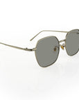 Venice Vision Sunglasses